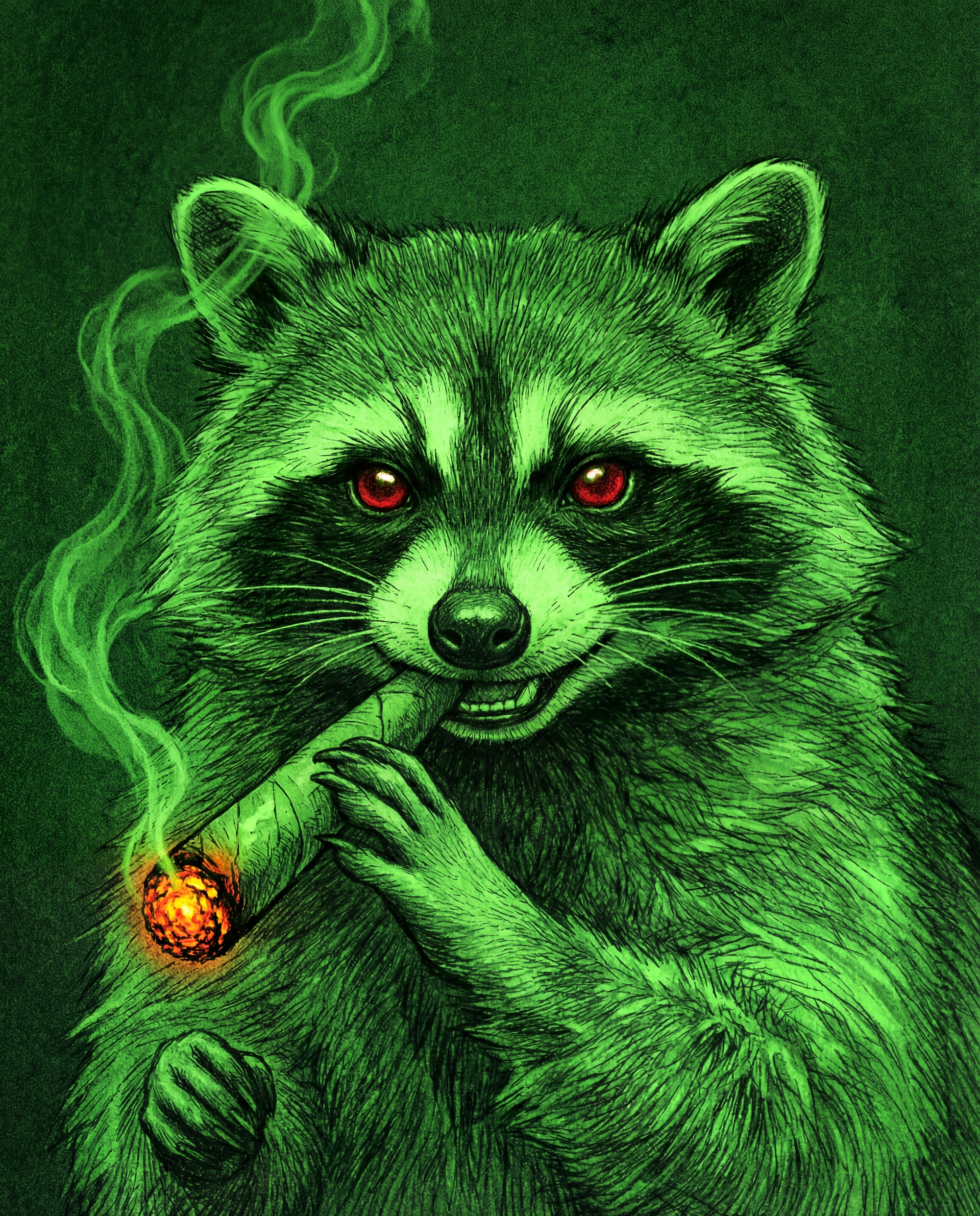 Green Raccoon